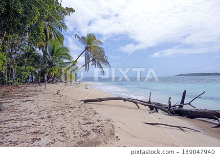 Remote beach coastline Panama 139047940