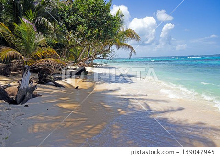 Palm trees and turquoise sea on tropical beach Panama 139047945