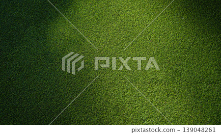 Green grass background, top view background of garden bright grass concept. Green grass background, top view background of garden bright grass concept. 139048261