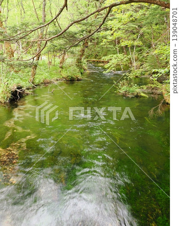 上高地梓川碧綠清澈的河水和鬱鬱蔥蔥的植被 139048701