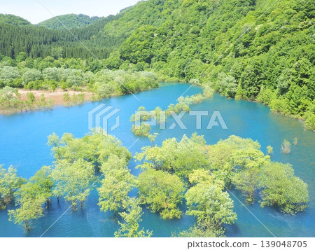 The submerged forest and emerald blue surface of Lake Akiogi The submerged forest and emerald blue surface of Lake Akiogi 139048705