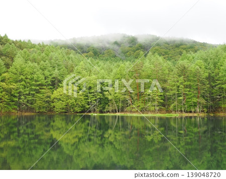 Morning mist and lush green forest surrounding Mishaka Pond Morning mist and lush green forest surrounding Mishaka Pond 139048720