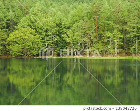 The surface of Mishaka Pond and the surrounding forest are tinged with the fresh green of spring. 139048726