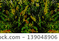 以黃色花朵和綠色葉子為特色的植物圖案背景。 139048906