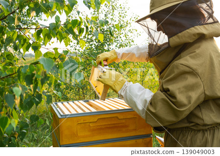 Beekeeper inspecting frame, apiary closeup, honeycomb and bees, suit and smoker, rural natural beekeeping, pollination, organic honey, farm tradition. Beekeeper inspecting frame, apiary closeup, honeycomb and bees, suit and smoker, rural natural beekeeping, pollination, organic honey, farm tradition. 139049003