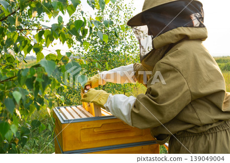 Beekeeper holding honey frame, bees on comb, rural apiary, organic farming, honey production, bee colony care, sustainable beekeeping, environment management. Beekeeper holding honey frame, bees on comb, rural apiary, organic farming, honey production, bee colony care, sustainable beekeeping, environment management. 139049004