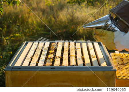 Beehive top view, smoker, hive management, sustainable beekeeping, apiary tools, rural honey production, healthy colony maintenance, insect farming. 139049065