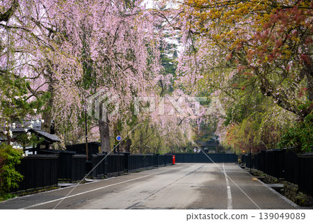 The weeping cherry blossoms in full bloom and the traditional black-walled streets of Kakunodate, Akita Prefecture, are a magnificent sight along the samurai residence street. The weeping cherry blossoms in full bloom and the traditional black-walled streets of Kakunodate, Akita Prefecture, are a magnificent sight along the samurai residence street. 139049089