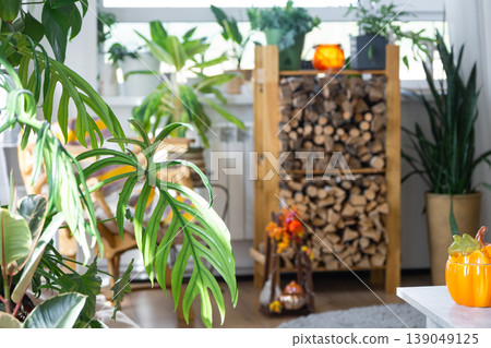 Rustic eco-interior, fall home decor, potted plant abundance, wooden village furniture, natural materials, autumn warmth, rural cozy atmosphere, pumpkins, sunlight. 139049125