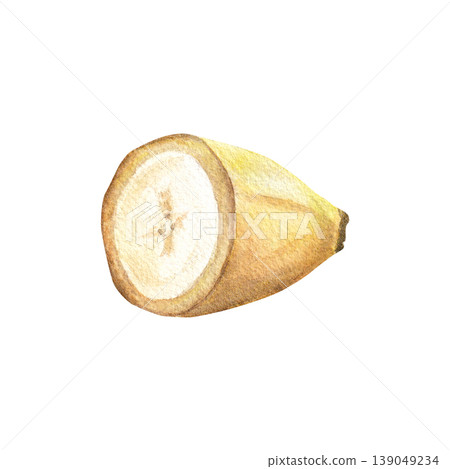 Piece of banana in its peel isolated on white background. Bright part of the fruit revealing delicate texture. Hand drawn watercolor illustration Piece of banana in its peel isolated on white background. Bright part of the fruit revealing delicate texture. Hand drawn watercolor illustration 139049234