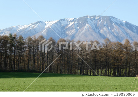 A view of Mount Iwate, pastures, and rows of larch trees from Koiwai Farm in early spring in Iwate Prefecture, a northern region of Japan. A view of Mount Iwate, pastures, and rows of larch trees from Koiwai Farm in early spring in Iwate Prefecture, a northern region of Japan. 139050009