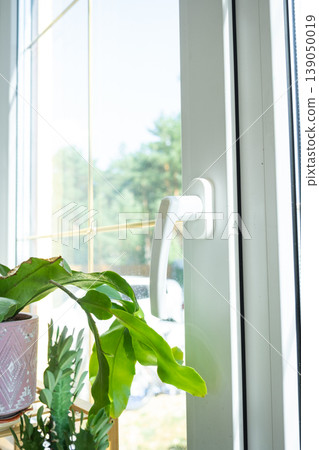 Plastic window ajar, indoor plant in breeze, airing space, modern hardware, fresh air access, habitual ventilation, PVC profile, household microclimate. Plastic window ajar, indoor plant in breeze, airing space, modern hardware, fresh air access, habitual ventilation, PVC profile, household microclimate. 139050019