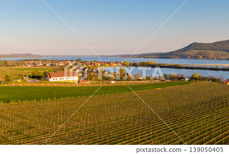 Panoramic aerial view of Palava hills, czech republic. Vineyard land near water reservoir Nove mlyny. Concept of agriculture and wine production. Summer weather, vibrant colors at sunset time. Panoramic aerial view of Palava hills, czech republic. Vineyard land near water reservoir Nove mlyny. Concept of agriculture and wine production. Summer weather, vibrant colors at sunset time. 139050405
