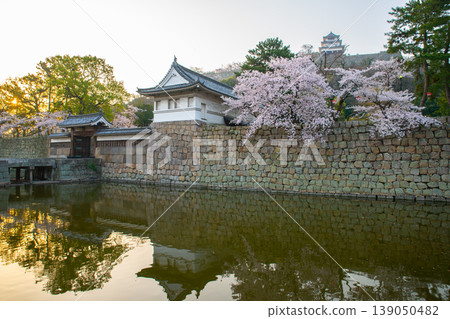 Marugame城堡和櫻花 Marugame城堡和櫻花 139050482