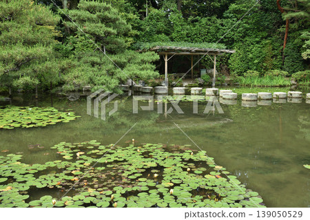 平安神宮中央庭園:臥龍橋、惣龍池(京都市左京區) 平安神宮中央庭園:臥龍橋、惣龍池(京都市左京區) 139050529