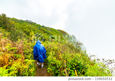 Tourist with the raincoat is walking in Doi Inthanon national park, Thailand. Rainy weather, fog and mist. Fresh green plants on side of trail Tourist with the raincoat is walking in Doi Inthanon national park, Thailand. Rainy weather, fog and mist. Fresh green plants on side of trail 139050532