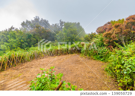 The top of Doi Inthanon mountain in Thailand national park and rainforest. Weather after rain, small visibility. Unlucky condition for tourist The top of Doi Inthanon mountain in Thailand national park and rainforest. Weather after rain, small visibility. Unlucky condition for tourist 139050729