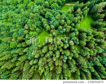 Aerial top down view to forest, trees and tourist paths in Slovakia national park Mala Fatra. Vibrant colors, fresh nature and beautiful forest 139050874