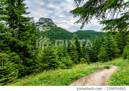 Maly Rozsutec mountain in the Mala Fatra Slovakia national park. Tourist destination for outdoor activities, hiking, trekking. Summer day. Meadow and forest near big rock 139050881