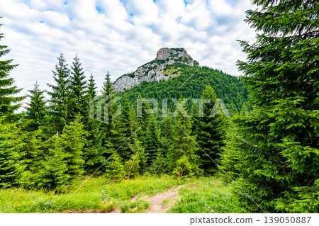 Maly Rozsutec mountain in the Mala Fatra Slovakia national park. Tourist destination for outdoor activities, hiking, trekking. Summer day. Meadow and forest near big rock 139050887