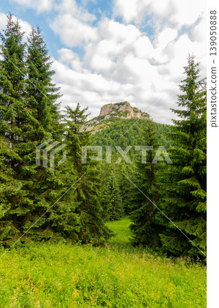 Maly Rozsutec mountain in the Mala Fatra Slovakia national park. Tourist destination for outdoor activities, hiking, trekking. Summer day. Meadow and forest near big rock 139050888