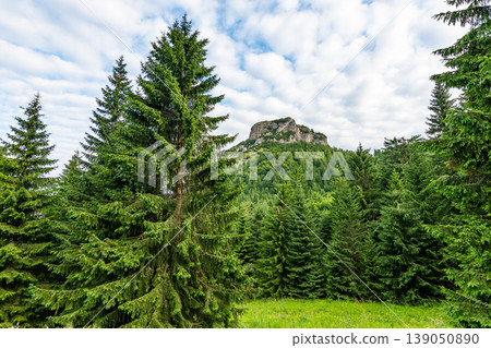 Maly Rozsutec mountain in the Mala Fatra Slovakia national park. Tourist destination for outdoor activities, hiking, trekking. Summer day. Meadow and forest near big rock Maly Rozsutec mountain in the Mala Fatra Slovakia national park. Tourist destination for outdoor activities, hiking, trekking. Summer day. Meadow and forest near big rock 139050890