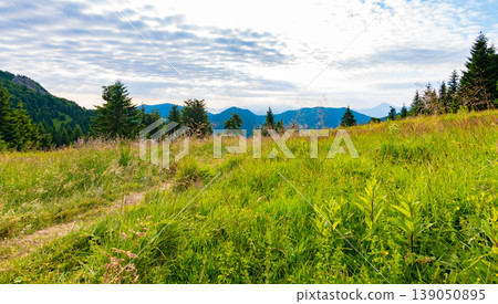 Tourist path in the forest, Mala Fatra national park, Slovakia. Green fresh trees, blue sky. Trail to Maly Rozsutec mountain Tourist path in the forest, Mala Fatra national park, Slovakia. Green fresh trees, blue sky. Trail to Maly Rozsutec mountain 139050895