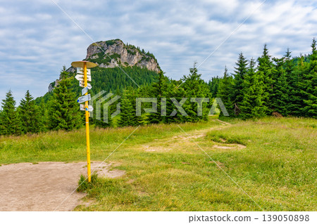 Tourist pointer placed on meadow near Maly Rozsutec mountain in Slovakia national park Mala Fatra. "Pod Tanecnicou" translation: Under the dancer peak. "Tanecnicou" is the name of near mountain. Tourist pointer placed on meadow near Maly Rozsutec mountain in Slovakia national park Mala Fatra. "Pod Tanecnicou" translation: Under the dancer peak. "Tanecnicou" is the name of near mountain. 139050898