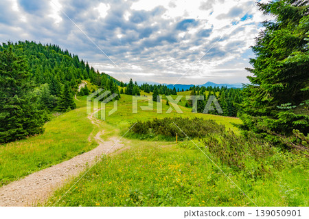 View of Mala Fatra, Slovakia national park. Tourist path near the Maly and Velky rozsutec mountains. Beautiful forest, trees and grass. Vibrant color in fresh nature 139050901