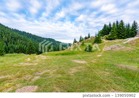Meadow near the Maly Rozsutec mountain. Target for tourist with space for rest 139050902