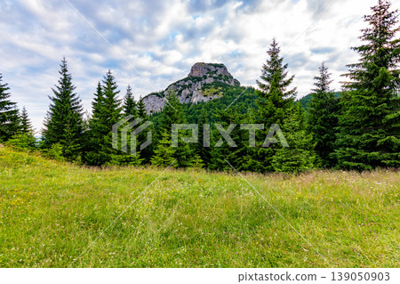 Maly Rozsutec mountain in the Mala Fatra Slovakia national park. Tourist destination for outdoor activities, hiking, trekking. Summer day. Meadow and forest near big rock 139050903