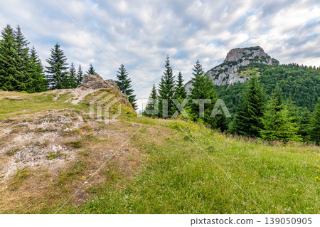 Maly Rozsutec mountain in the Mala Fatra Slovakia national park. Tourist destination for outdoor activities, hiking, trekking. Summer day. Meadow and forest near big rock 139050905