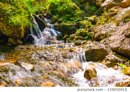 Beautiful pure waterfall in Slovakia national park Mala Fatra - Janosikove Diery, near the Terchova village. Fresh water stream on big rocks in green forest. Sunny summer day in fresh nature Beautiful pure waterfall in Slovakia national park Mala Fatra - Janosikove Diery, near the Terchova village. Fresh water stream on big rocks in green forest. Sunny summer day in fresh nature 139050918