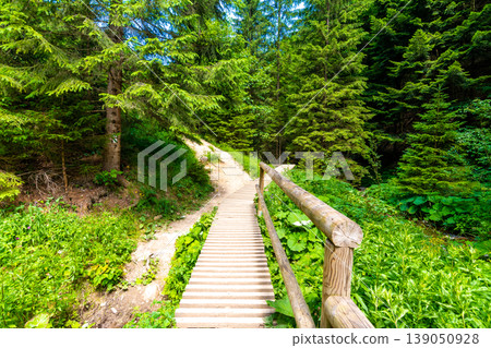Wooden tourist path trail in the green forest in Slovakia national park Mala Fatra - Janosikove Diery. Wooden tourist path trail in the green forest in Slovakia national park Mala Fatra - Janosikove Diery. 139050928