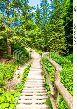 Wooden tourist path trail in the green forest in Slovakia national park Mala Fatra - Janosikove Diery. Wooden tourist path trail in the green forest in Slovakia national park Mala Fatra - Janosikove Diery. 139050929