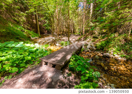 Wooden tourist path trail in the green forest in Slovakia national park Mala Fatra - Janosikove Diery. Wooden tourist path trail in the green forest in Slovakia national park Mala Fatra - Janosikove Diery. 139050930