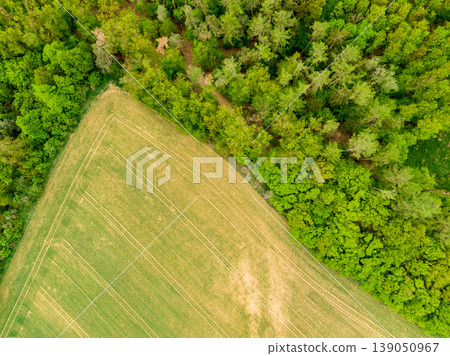 Aerial drone view of field, trees and forest in agriculture land. Top look to meadow near village and farm. Beautiful green fresh crop on spring day after rain Aerial drone view of field, trees and forest in agriculture land. Top look to meadow near village and farm. Beautiful green fresh crop on spring day after rain 139050967