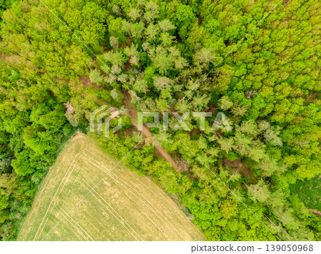 Aerial drone view of field, trees and forest in agriculture land. Top look to meadow near village and farm. Beautiful green fresh crop on spring day after rain Aerial drone view of field, trees and forest in agriculture land. Top look to meadow near village and farm. Beautiful green fresh crop on spring day after rain 139050968