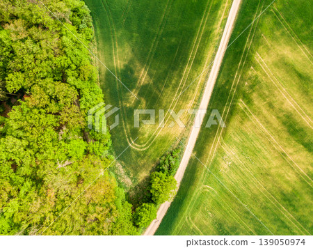 Aerial view of agriculture fields, meadow and road inside. Rural scene of countryside. Fresh green colors, look to above tree. Day on spring after rain Aerial view of agriculture fields, meadow and road inside. Rural scene of countryside. Fresh green colors, look to above tree. Day on spring after rain 139050974