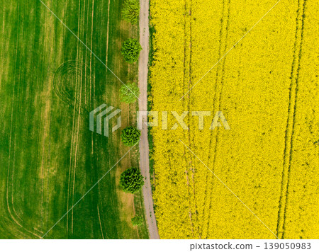 Aerial view of road between green and yellow fields. Agriculture drone shot of canola rapeseed field and green crop field. Ecology agriculture near farm, growing plants on big land Aerial view of road between green and yellow fields. Agriculture drone shot of canola rapeseed field and green crop field. Ecology agriculture near farm, growing plants on big land 139050983