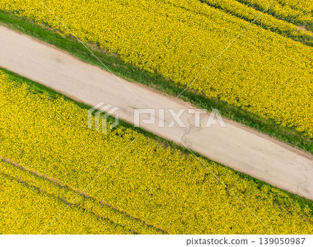 Aerial view of yellow canola field in bloom phase. Ecology agriculture near farm Aerial view of yellow canola field in bloom phase. Ecology agriculture near farm 139050987