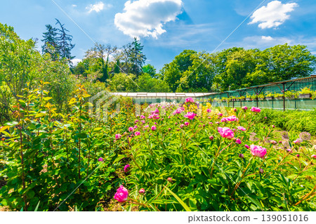 Field of flowers in bloom with greenhouse building in background. Summer day in garden, blue sky Field of flowers in bloom with greenhouse building in background. Summer day in garden, blue sky 139051016
