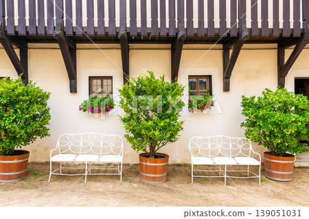 Bench under the window with flower. Big bushes next to the bench with fresh green leaves. Old home building in Europe, vintage exterior style 139051031