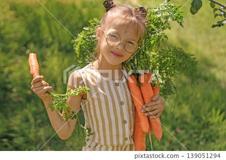 A girl with glasses holds an armful of ripe large carrots picked in a vegetable garden. A dirty child has a vegetable picked from the Bed. Autumn harvest A girl with glasses holds an armful of ripe large carrots picked in a vegetable garden. A dirty child has a vegetable picked from the Bed. Autumn harvest 139051294