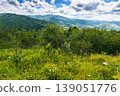 herb field in the mountain landscape in summer. wonderful view of carpathian mountains under cloudy sky. picturesque countryside landscape with forested hills. view in to the valley 139051776