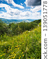 herb field in the mountain landscape in summer. wonderful view of carpathian mountains under cloudy sky. picturesque countryside landscape with forested hills. view in to the valley 139051778