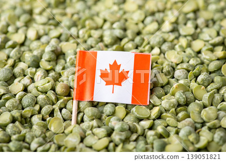 Flag of Canada in green pea. Concept of origin of pea grain, agribusiness in Canada 139051821