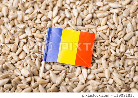 Flag of Romania on peeled sunflower seeds. Origin of sunflowers, agribusiness 139051833