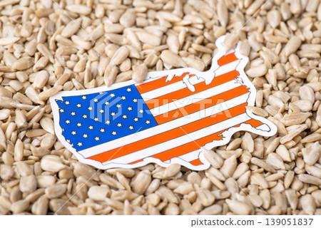 Flag and map of USA on peeled sunflower seeds. Growing sunflowers in USA, origin concept 139051837