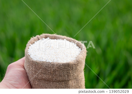Tiny canvas bag with white fertilizer in human hand, close up. Granulated fertilizer on the background of green field, concept of farming, agriculture and enriching the soil Tiny canvas bag with white fertilizer in human hand, close up. Granulated fertilizer on the background of green field, concept of farming, agriculture and enriching the soil 139052029